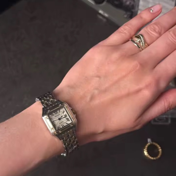 Panthere Two-Tone Classic Stainless Steel Watch - Picture 14 of 16